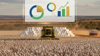 Miniatura do artigo de Mercado Agrícola: Preço do Algodão em 2021: O Que o Produtor Precisa Saber?