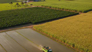 Miniatura do artigo de Mercado Agrícola: Preço do Arroz em 2021: O Que Esperar Após a Alta Histórica de 2020?