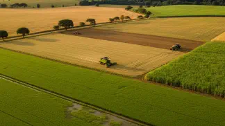 Miniatura do artigo de Mercado Agrícola: Preço do Arroz em 2025: Projeções, Cenários e Como Se Preparar