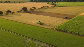 Miniatura do artigo de Mercado Agrícola: Preço do Arroz em 2025: Projeções, Cenários e Como Se Preparar