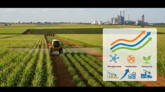 Miniatura do artigo de Mercado Agrícola: Preço dos Fertilizantes em 2019: O Que Esperar e Como se Preparar