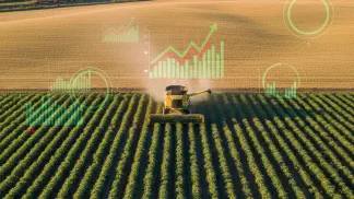 Miniatura do artigo de Mercado Agrícola: Preços da Soja 2020: Fatores do Mercado e Proteção da Rentabilidade