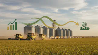 Miniatura do artigo de Gestão Agrícola: Preços da Soja em 2019: O que o Produtor Precisa Saber para Decidir a Venda