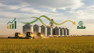 Miniatura do artigo de Gestão Agrícola: Preços da Soja em 2019: O que o Produtor Precisa Saber para Decidir a Venda