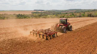 Miniatura do artigo de Gestão Agrícola: Preparo de Solo do Amendoim: Guia Prático de Plantio [2025]