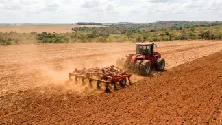 Miniatura do artigo de Gestão Agrícola: Preparo de Solo do Amendoim: Guia Prático de Plantio [2025]