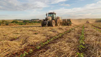 Miniatura do artigo de Gestão Agrícola: Preparo de Solo para Feijão: Guia para Produzir Mais [2025]
