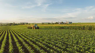 Miniatura do artigo de Gestão Agrícola: Preparo de Solo do Gergelim: Guia contra Compactação [2025]