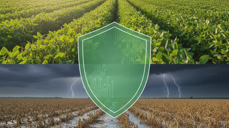 Proagro: O Guia Completo para Proteger seu Financiamento na Safra 2025/26