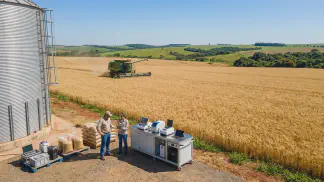 Miniatura do artigo de Gestão Agrícola: Produção Integrada de Trigo: Guia Prático para Lucro [2025]