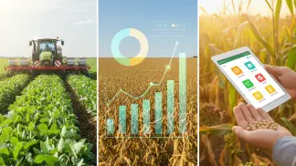 Miniatura do artigo de Gestão Agrícola: Produtividade da Soja: Como Planejar a Safra e Aumentar Ganhos