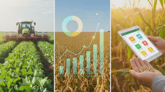 Miniatura do artigo de Gestão Agrícola: Produtividade da Soja: Como Planejar a Safra e Aumentar Ganhos