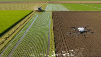 Miniatura do artigo de Gestão Agrícola: Projeto 10: Produzindo Mais Arroz com Menos Recursos