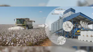 Miniatura do artigo de Gestão Agrícola: Qualidade da Fibra de Algodão: O Guia Completo para Valorizar sua Produção