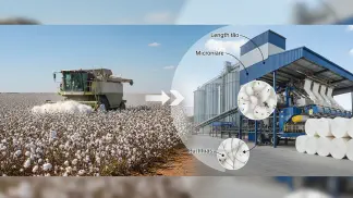 Miniatura do artigo de Gestão Agrícola: Qualidade da Fibra de Algodão: O Guia Completo para Valorizar sua Produção