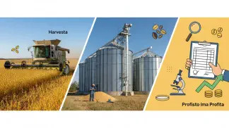 Miniatura do artigo de Gestão Agrícola: Qualidade de Grãos: 3 Passos da Colheita ao Armazenamento