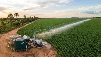 Miniatura do artigo de Gestão Agrícola: Quimigação no Arroz: Economize Diesel na Prática [2025]