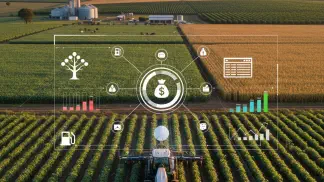 Miniatura do artigo de Mercado Agrícola: Rateio de Custos Automático: Controle Total das Finanças Rurais