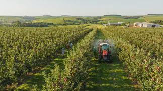Miniatura do artigo de Gestão Agrícola: Reguladores de Crescimento em Maçãs: Guia Completo [2025]