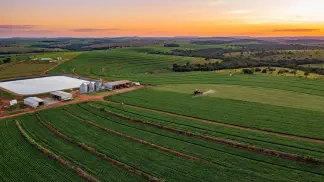 Miniatura do artigo de Gestão Agrícola: Reguladores de Crescimento na Pereira: Guia Prático [2025]