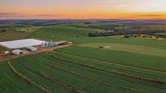 Miniatura do artigo de Gestão Agrícola: Reguladores de Crescimento na Pereira: Guia Prático [2025]