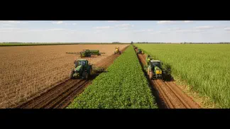 Miniatura do artigo de Agricultura de Precisão: Renovação do Canavial: O Guia Completo para Aumentar sua Produtividade