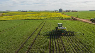 Miniatura do artigo de Gestão Agrícola: Rotação de Culturas no Trigo: Guia para Produzir Mais [2025]