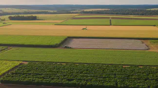 Miniatura do artigo de Gestão Agrícola: Rotação de Culturas: Como Aumentar Produtividade e Saúde do Solo