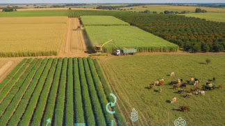 Miniatura do artigo de Gestão Agrícola: Safra 2020: Análise Completa das Expectativas para Grãos, Café, Cana e Laranja