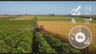 Miniatura do artigo de Manejo Integrado de Pragas: Safra de Café 2025/26: Previsões, Preços e Desafios para o Cafeicultor