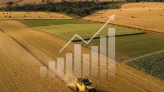 Miniatura do artigo de Mercado Agrícola: Safra de Inverno 2020: O Que Esperar da Produção, Demanda e Preços?