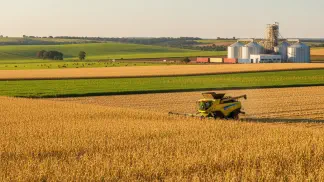 Miniatura do artigo de Gestão Agrícola: Safra de Milho 2023: Guia Completo sobre Preços, Produção e Oportunidades