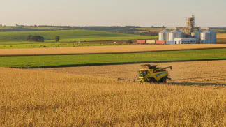 Miniatura do artigo de Gestão Agrícola: Safra de Milho 2023: Guia Completo sobre Preços, Produção e Oportunidades