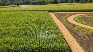 Planejamento-Agricola