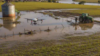Miniatura do artigo de Gestão Agrícola: Safras Alagadas no RS: Impactos e Estratégias de Recuperação