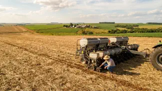 Miniatura do artigo de Gestão Agrícola: Semeadeira de Milho: Disco ou Facão no Plantio Direto [2025]