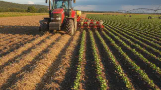 Miniatura do artigo de Gestão Agrícola: Semeadura de Feijão: 5 Passos Essenciais para Aumentar sua Produtividade