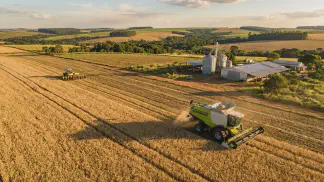 Miniatura do artigo de Gestão Agrícola: Semeadura de Trigo: Velocidade Ideal e Discos [Guia 2025]
