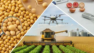 Miniatura do artigo de Gestão Agrícola: Semente de Soja: O Guia Completo para Escolher, Manejar e Garantir a Qualidade