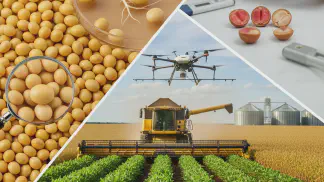 Miniatura do artigo de Gestão Agrícola: Semente de Soja: O Guia Completo para Escolher, Manejar e Garantir a Qualidade