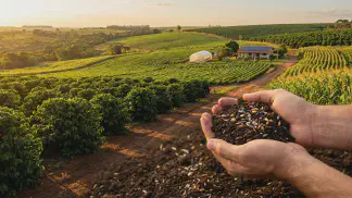 Miniatura do artigo de Gestão Agrícola: Semente Orgânica, Crioula ou Híbrida: Qual Escolher? [2025]