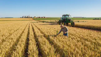 Miniatura do artigo de Gestão Agrícola: Semente ou Grão: O Que É e Como Regularizar o Renasem [2025]