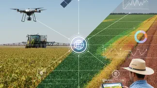 Miniatura do artigo de Agricultura de Precisão: Sensoriamento Remoto na Agricultura: O Guia Completo Para o Produtor