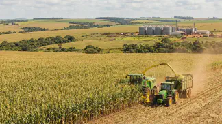 Miniatura do artigo de Gestão Agrícola: Silagem de Milho na Prática: 6 Passos Essenciais [2025]