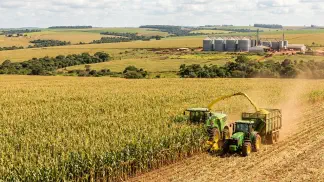 Miniatura do artigo de Gestão Agrícola: Silagem de Milho na Prática: 6 Passos Essenciais [2025]