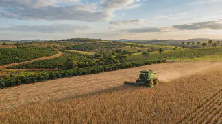 Miniatura do artigo de Gestão Agrícola: Sistemas de Criação de Ovelhas: Guia para Lucrar Mais [2025]