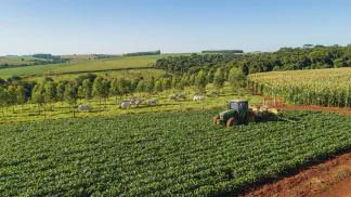 Miniatura do artigo de Gestão Agrícola: Inoculação de Soja: Guia Prático de Sistemas e Manejo [2025]