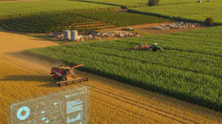 Miniatura do artigo de Historias de Sucesso: Software Rural: Da Gestão de Custos ao Prêmio de Produtividade em Soja