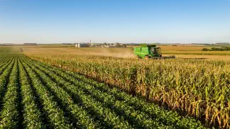 Miniatura do artigo de Gestão Agrícola: Soja ou Milho: Guia Definitivo de Lucratividade [2025]