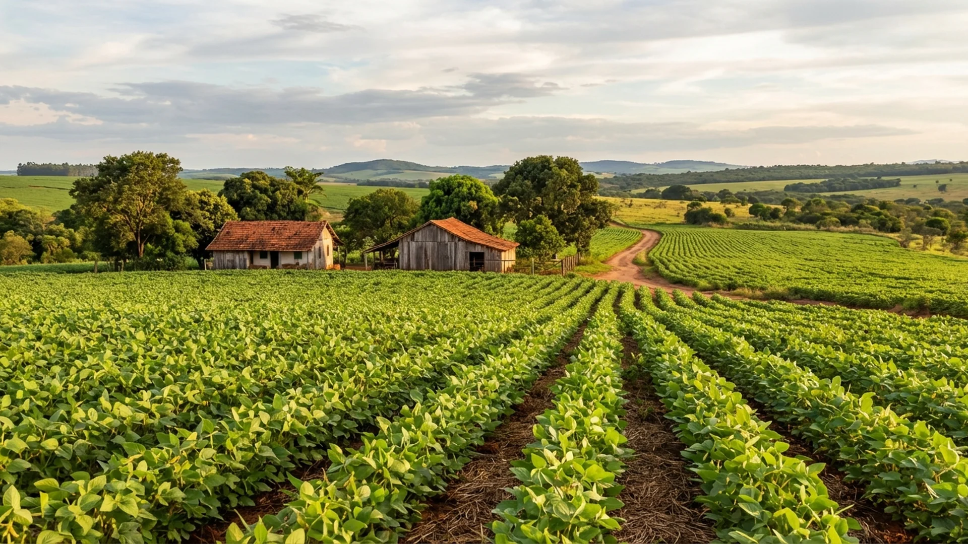 Imagem de destaque do artigo: Soja Orgânica: Guia Definitivo de Manejo e Lucro [2025]